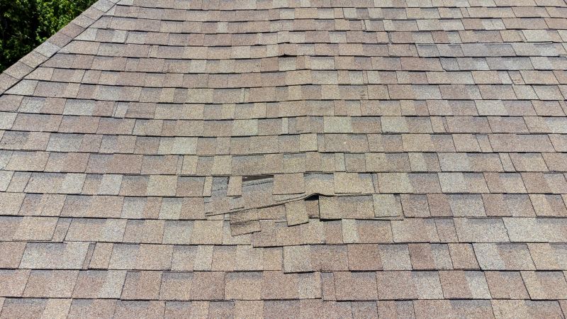 Asphalt Roof Inspection in Tuxedo Park, NY