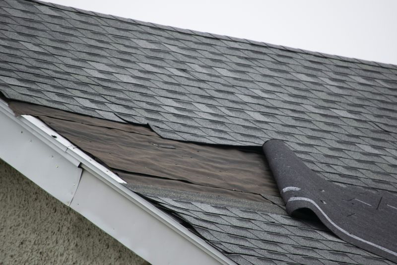 Asphalt Shingles Repair in Pine Island, NY