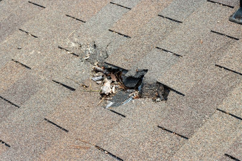 Shingle Roof Replacement in Slate Hill, NY
